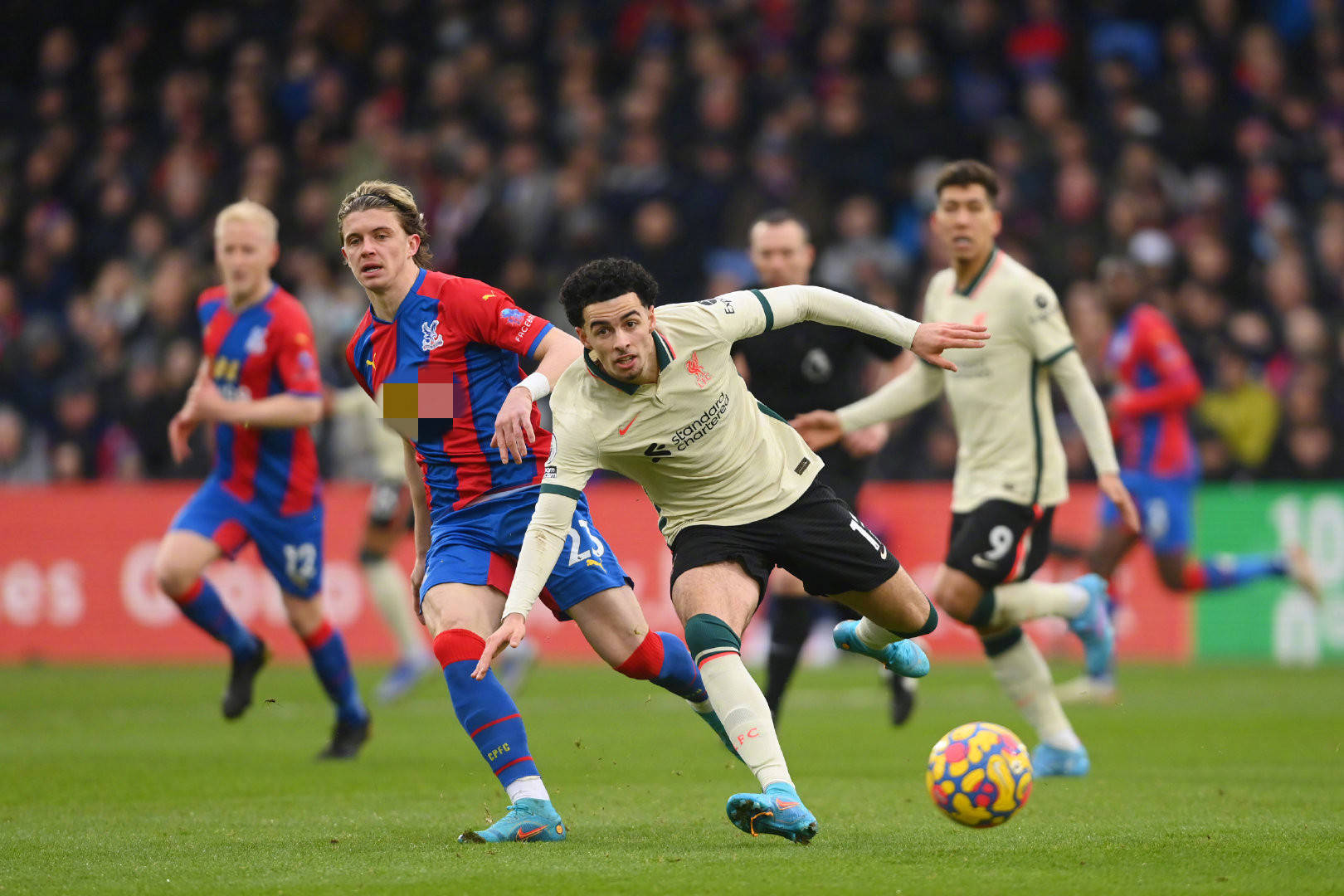 为年轻而有 为年轻而有